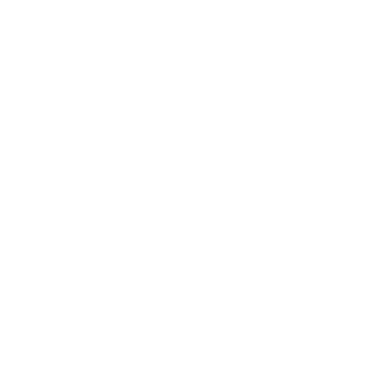 Trip: Elevate 2020